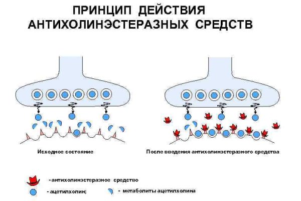 Официальный сайт кракен тор